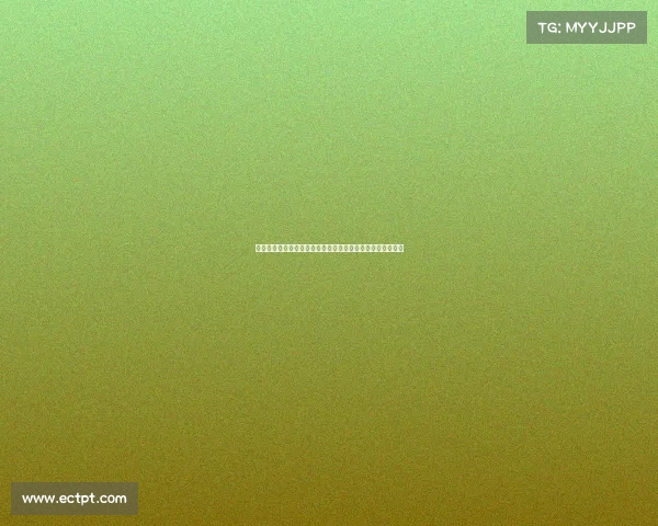 激情四溢的国家德比：经典对决再度点燃球迷热情与荣耀之争